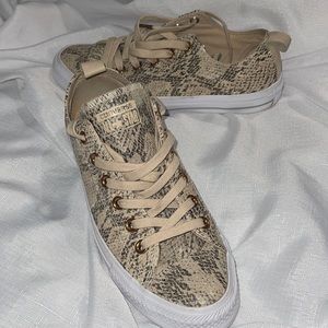 تبخر ديناصور سرطان converse all star 